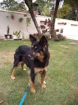 Malú