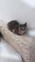 Nina