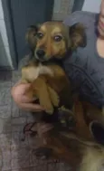 BB