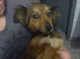 BB
