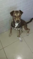 Lili