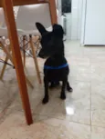 Sem nome