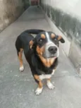 Spayker