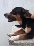 Spayker