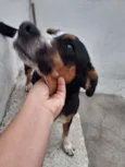 Spayker