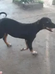 Não sei