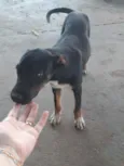 Não sei