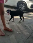 Não sei