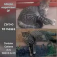 Zaroio