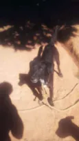 Negão
