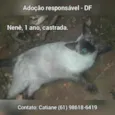 Nenê