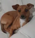 Pâmela