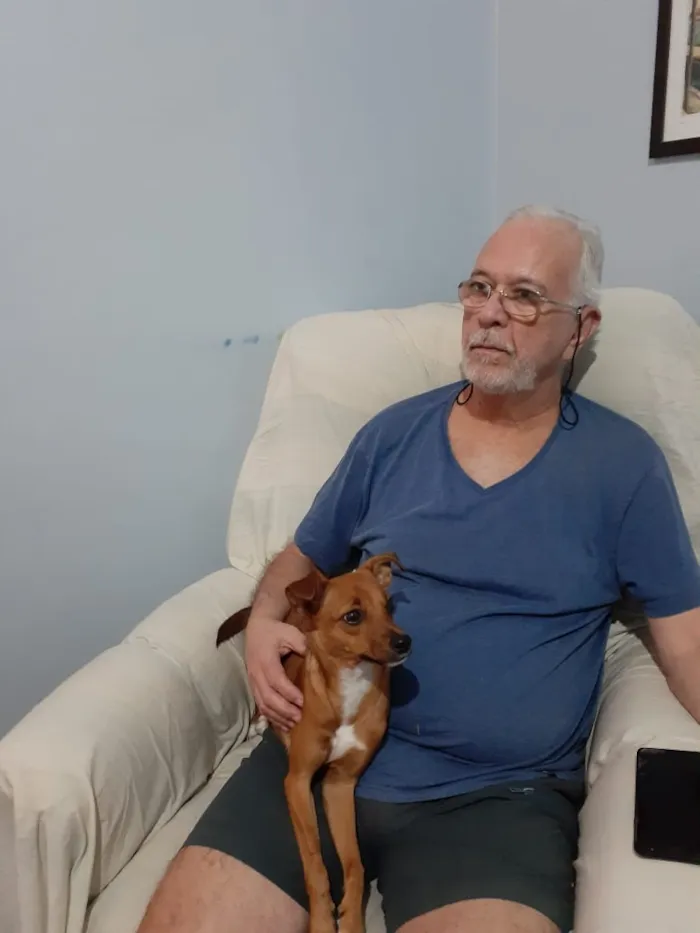 Cachorro ra a Srd idade 7 a 11 meses nome Pâmela