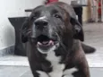 Zeus