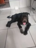 Tyson