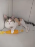 Mia