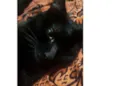 Fumaça