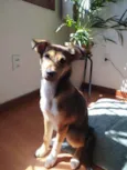 Lucy