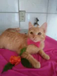 Mel