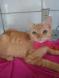 Mel