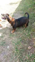 Tuco