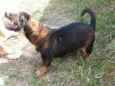 Tuco