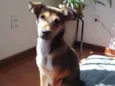 Lucy