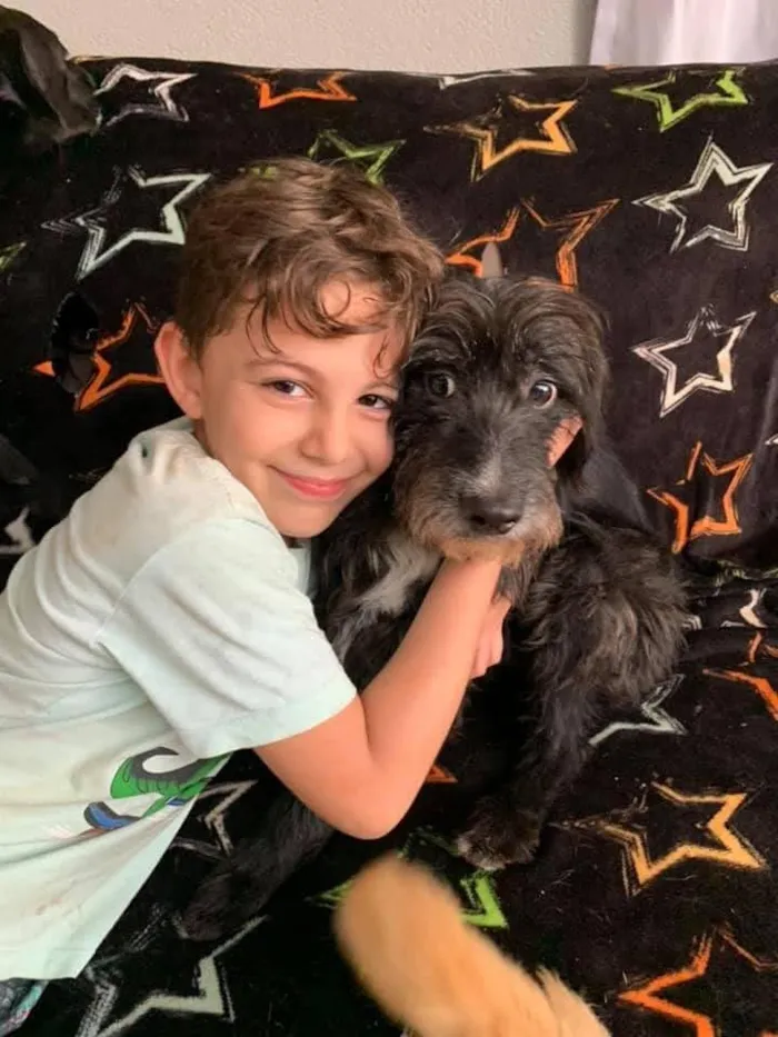 Cachorro ra a SRD idade 3 anos nome Valentin