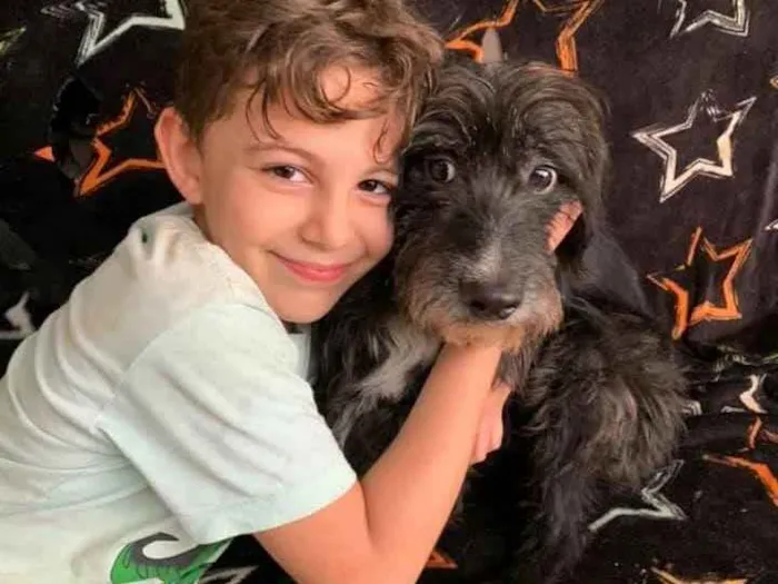 Cachorro ra a SRD idade 3 anos nome Valentin