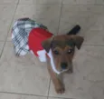 Julie