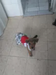 Julie
