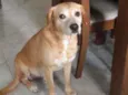 Marley