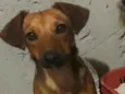 Não sei 