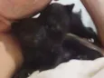 Pitoco e tampinha