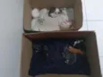 São 9 filhotes 