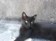 Nina