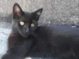 Nina