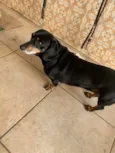 Penelope