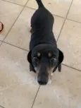 Penelope