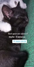 Sem nome