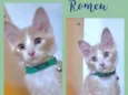 Romeu