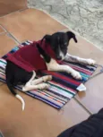 Lupita