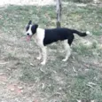 Nick