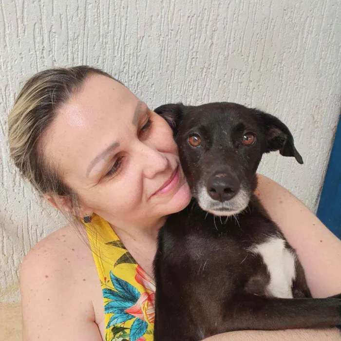 Cachorro raça SRD idade 3 anos nome Bob