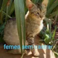 Sem nome