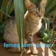Sem nome