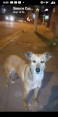 MEL