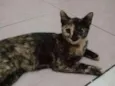 Matilda