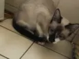 Não sei