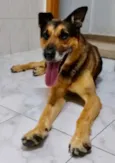 Tropeço